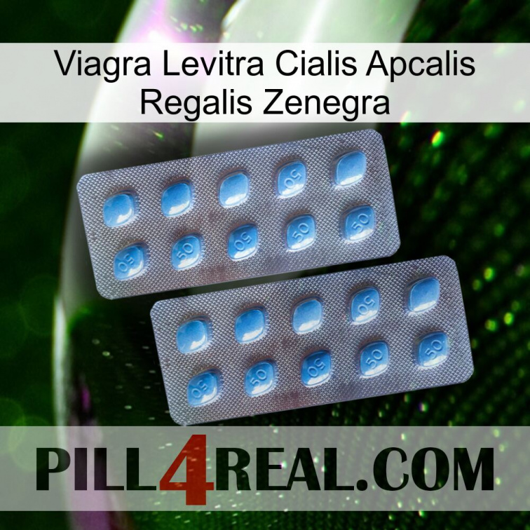 Viagra Levitra Cialis Apcalis Regalis Zenegra viagra4